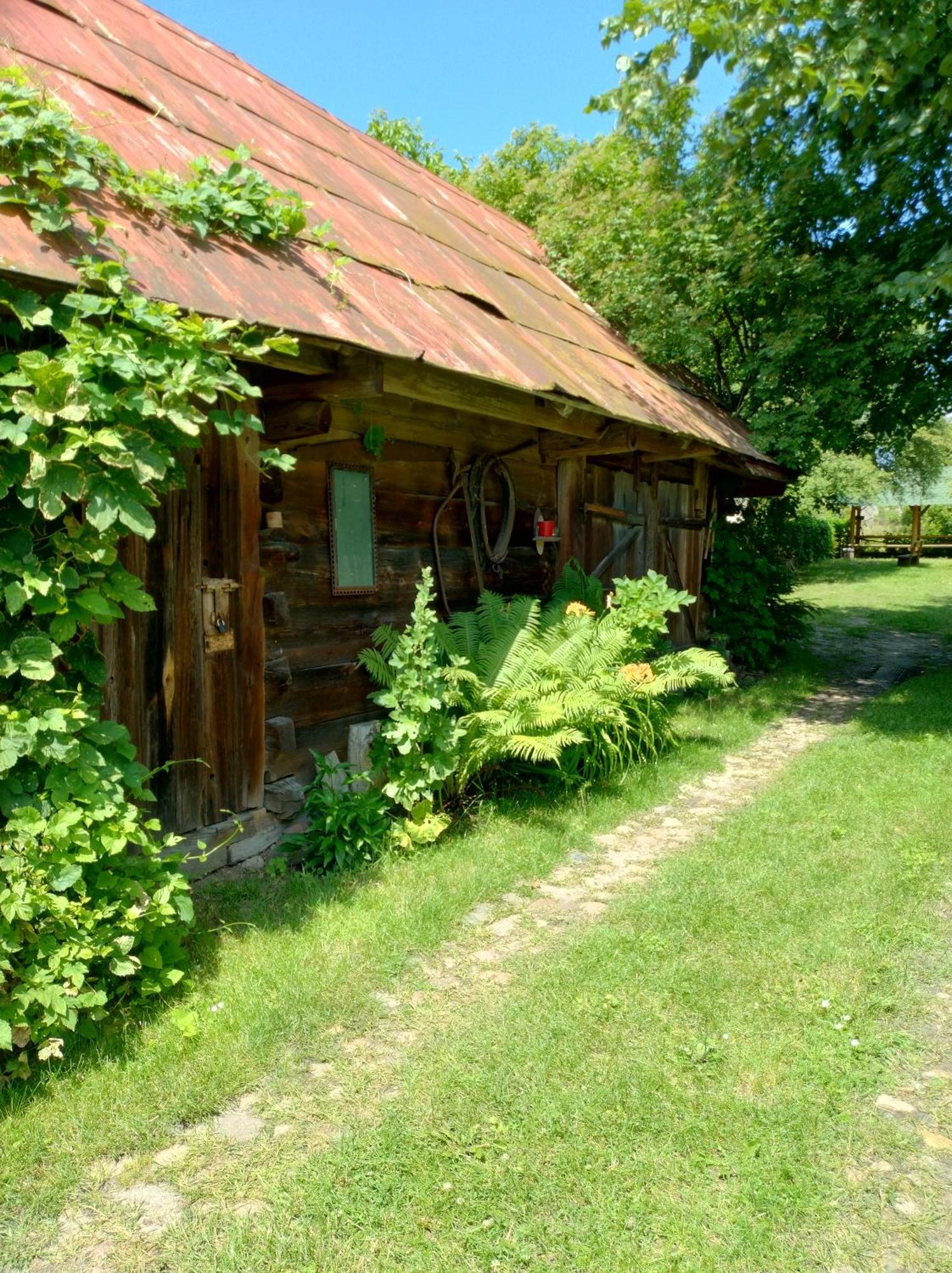 Dom Sloneczko Pokoje Do Wynajecia W Bialowiezy Białowieża 外观 照片