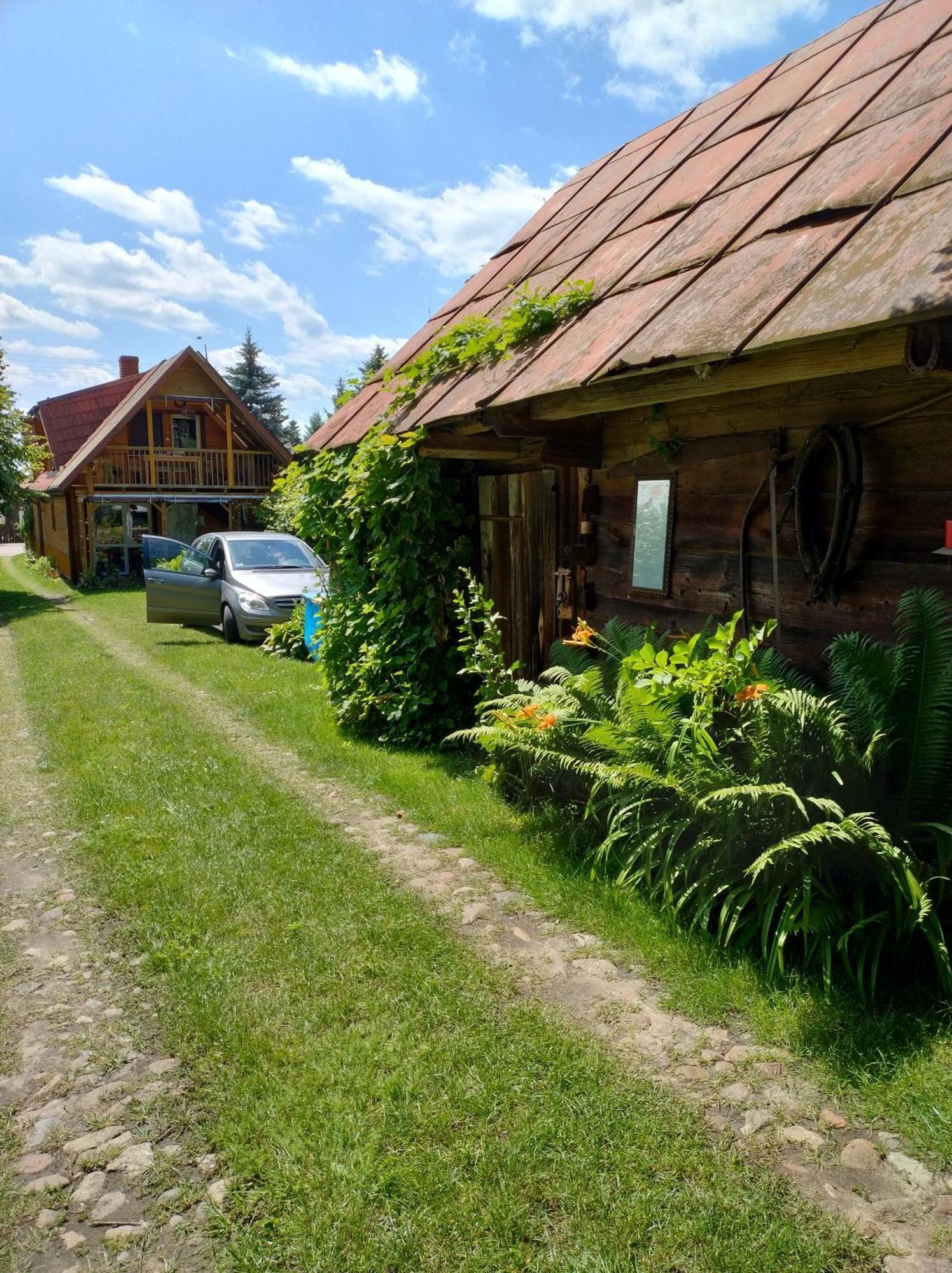 Dom Sloneczko Pokoje Do Wynajecia W Bialowiezy Białowieża 外观 照片